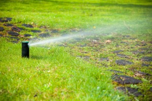 Sprinkler system on green lawn