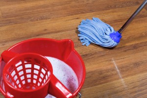 Mop on hardwood floor