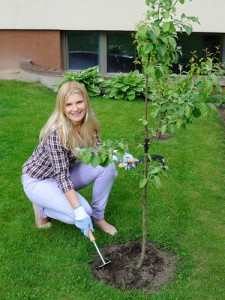 Woman planting tree in front yard