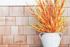 natural elements in decor